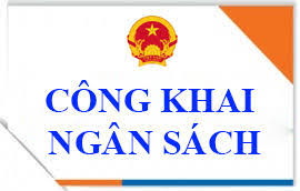 Công bố công khai quyết toán thu ngân sách nhà nước, chi ngân sách địa phương năm 2025 của xã Krông Năng